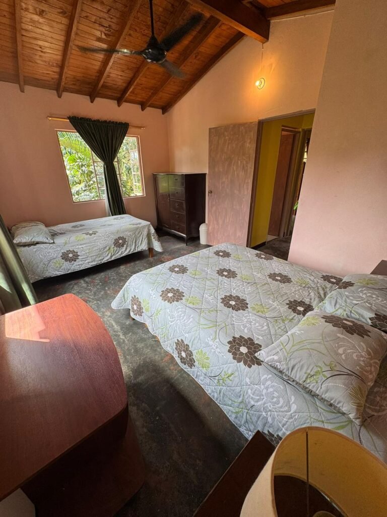 197506420260310114002