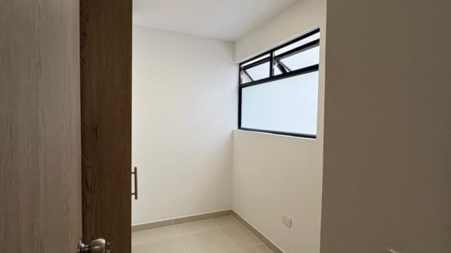 197506420260324024501