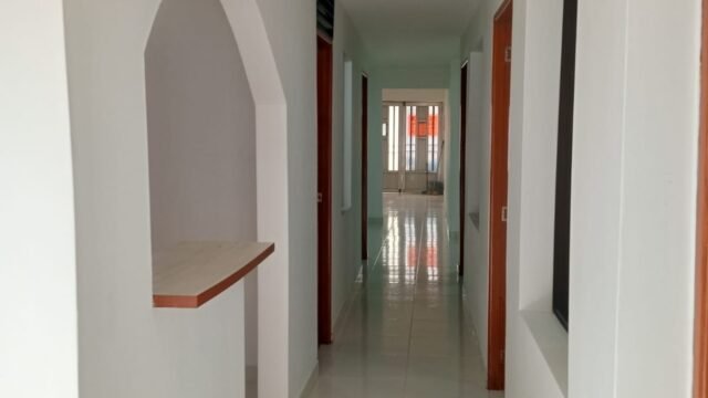 197506620260304031325