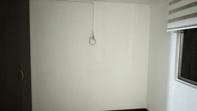 197506620260306042526