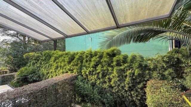 197506820260306090843