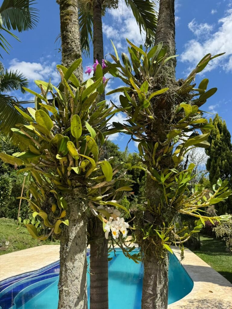 197506820260310114005