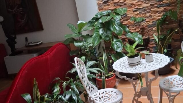 197506120260424101551