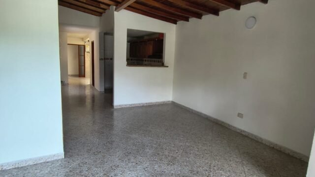 1975061320260411101559