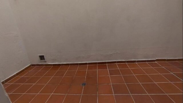 1975061320260424083925