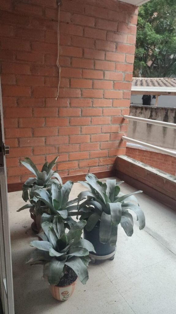 1975062220260401095504