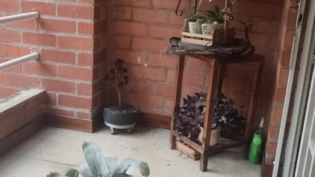 1975062320260331044431