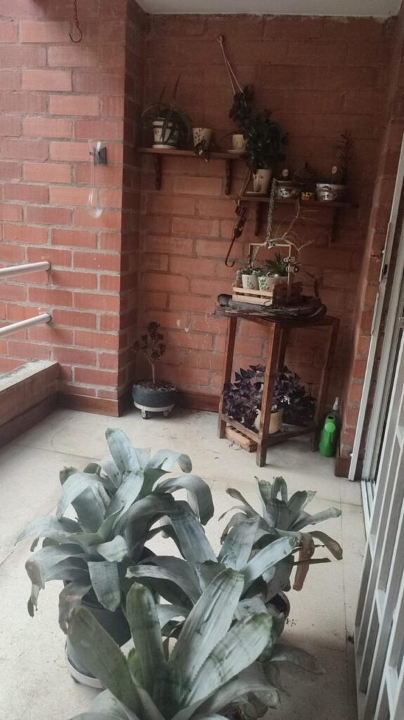 1975062320260401095505