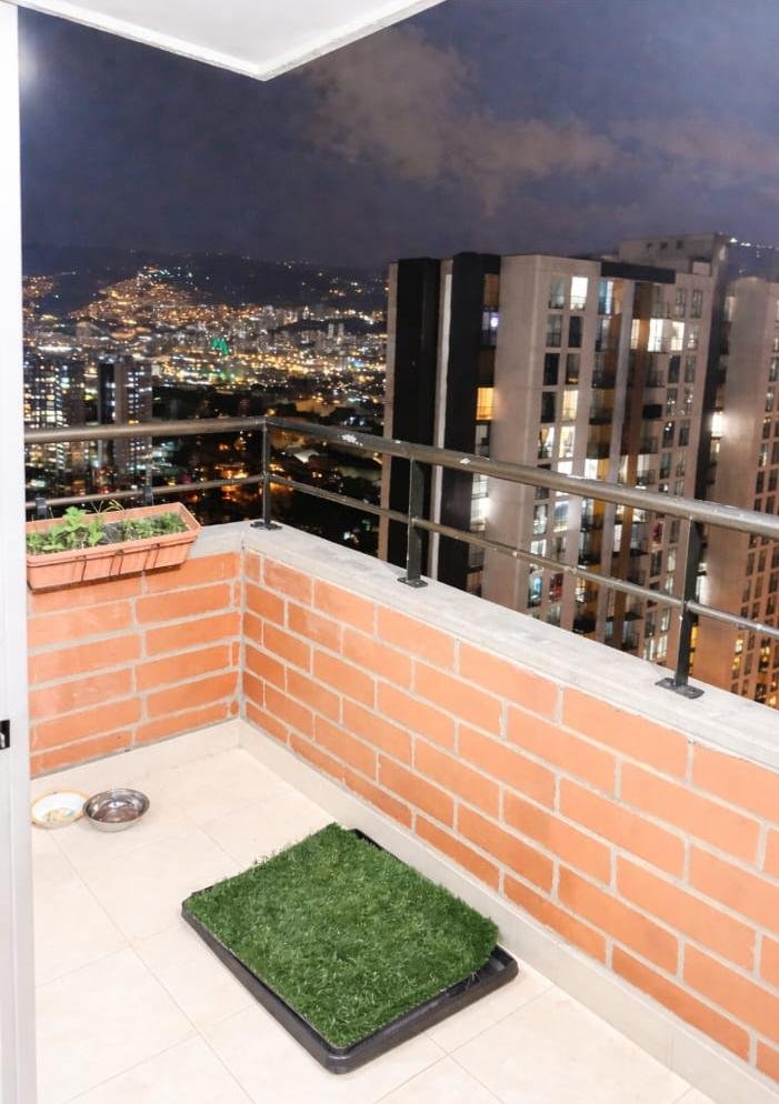 197506420260331104829