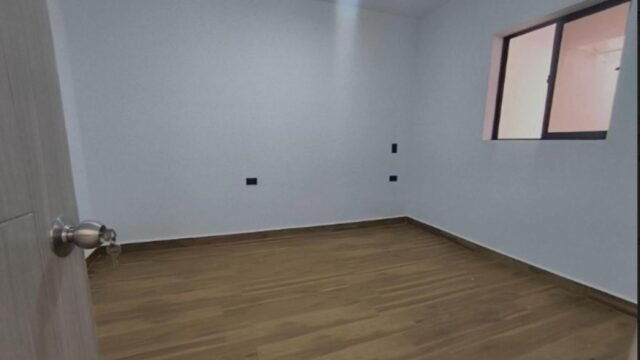 197506620260424083921