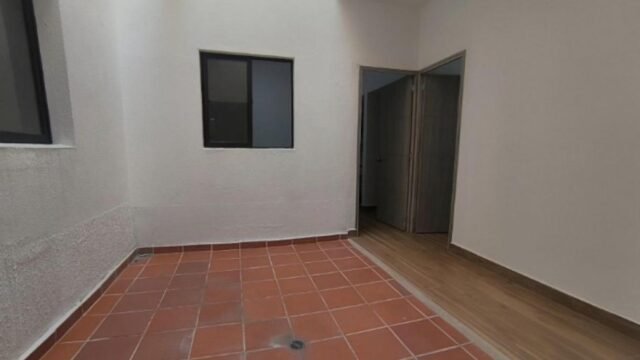 197506920260424083923