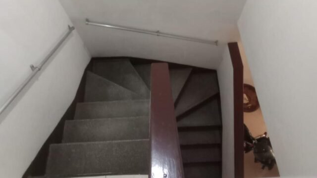 197506720260708033349